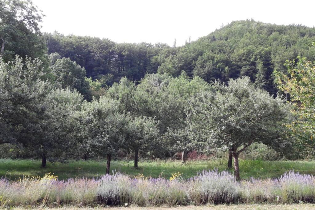 Gite "Entre Champsaur Et Valgodemard" Saint-Jacques-en-Valgodemard Экстерьер фото